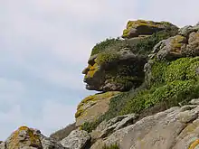 Paréidolie d'un visage sur un rocher.