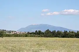 Le Mont Ventoux depuis l'enclave (Visan)