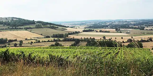 Vignes de Viserny, vallée de l'Armançon et mont de Cra à 434 m.