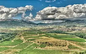 Image illustrative de l’article Rioja (DOC)