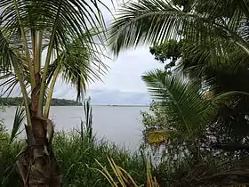 Vue de la lagune depuis l'île Calero