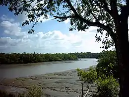 Paysage avec une rivière traversant un banc de sable et une forêt.