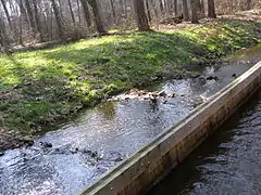 Des seuils en escalier favorisent le ralentissement du courant et la remontée de certains poissons.