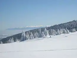 Paysage d'hiver sur le Vitocha, avec vue sur le massif du Rila en arrière-plan.