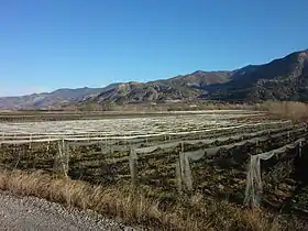 Vitrolles (Hautes-Alpes)