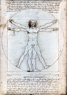 Homme de Vitruve, de Léonard de Vinci.