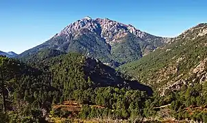 Monte d'Oro.