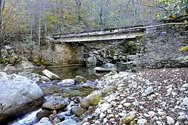 Pont dans la forêt de Vizzavona (5)