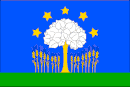 Drapeau de Vlachovice