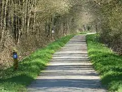 Voie verte Vitré-Moutiers