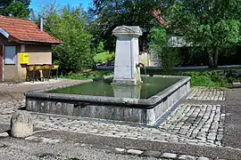 La fontaine-abreuvoir.