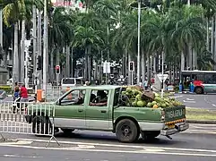 Voiture chargée de noix de coco.