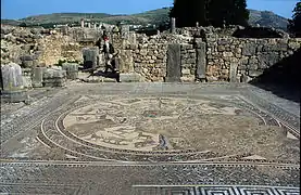 Mosaïque de la maison d'Orphée