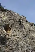 Escalade sur une paroi de la falaise de Volx.