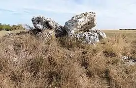 Dolmen de la Pierre Levée.