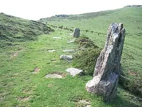 Image illustrative de l’article Col de Belate