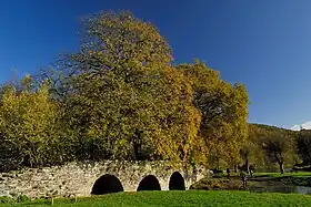 Pont Saint-Lambert (M) et ledit pont et ses abords immédiats (S).