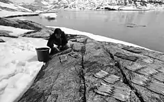 Photographie en noir et blanc d'une femme en train d'étaler des poissons en rangées sur les rives d'un fjord, un seau posé à côté d'elle.