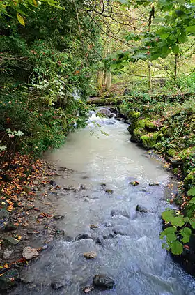 La Vuachère à son passage à l'extrémité est du parc, quelques dizaines de mètres avant son embouchure.