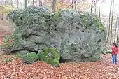 Dolmen de la Pierre Torniche