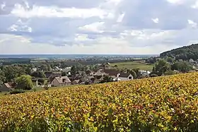 Gevrey-Chambertin