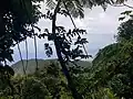 Vue à partir du haut de Belle-Hôtesse vers Ferry.