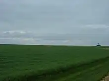 Photo d'un champ en herbe très vert, les nuages étant bas.