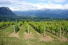 Vue sur la Cluse de Chambéry et la Combe de Savoie depuis les coteaux d'Apremont.