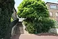 Photographie en couleur d'un escalier, d'un arbre et d'une maison.