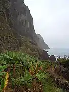 Vue de la côte de Rocha do Navio