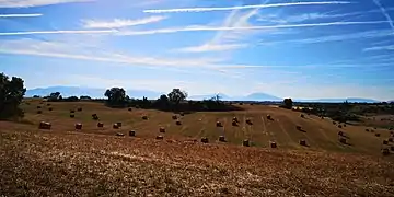 La campagne valensolaise au début de l'été