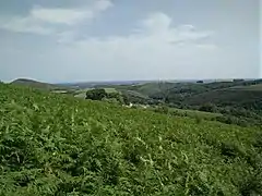 Paysage depuis le sentier montant au sommet de la Rhune avec en premier plan un champ de fougère et en fond le pays basque.