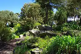 La Terrasse ouest et sa végétation méditerranéenne.