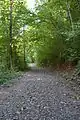 Sentier traversant le domainne du Moulin, en longeant la Leffe