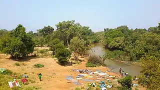 Vue panoramique sur la forêt de BOBE au Bénin