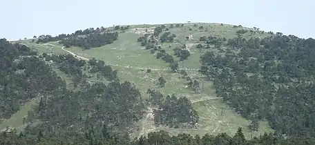 Pistes de la Moulière l'été.