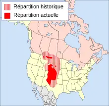 Carte d'Amérique du Nord avec l'aire de répartition du Renard véloce, principalement située au centre des États-Unis