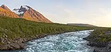 Une rivière traversant une forêt, avec une montagne au loin.