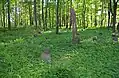 Vue du cimetière avec des tombes dont les croix ont été démolies.