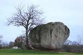 Mégalithe de la Pierre Tournisse.