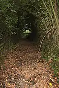 Entrée de la pêcherie, le Grand-Moulin, quelques mètres en aval de l'étang de la Thévinière.