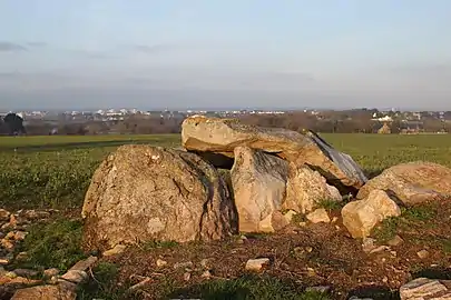 Le dolmen de Kerhenry.