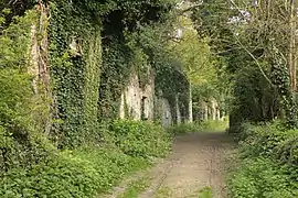 Façades en ruine du village.