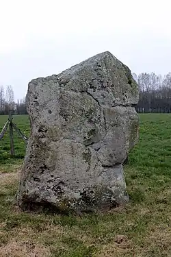 Image illustrative de l’article Menhir de la Petite-Roche