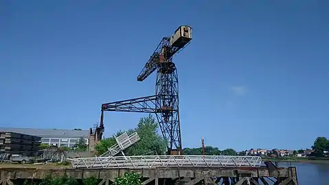 Grue noire, vue latérale