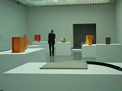 Hélio Oiticica, Bólides