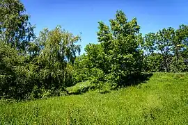 colline à Matskivtsi, classée,