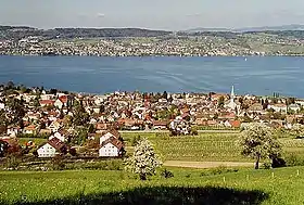 Wädenswil