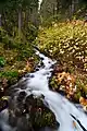 Wahkeena Falls (en), dans la gorge du Columbia. Octobre 2019.