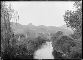 Vue générale de la rivière Waiau dans la péninsule de Coromandel. Photo: William A Price (1900)